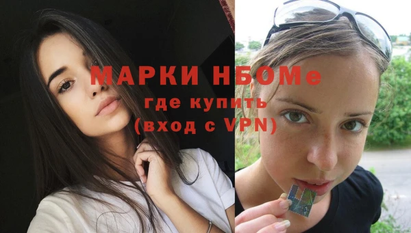 стаф Новозыбков